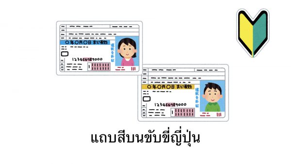 แถบสีบนใบขับขี่ญี่ปุ่นคืออะไร