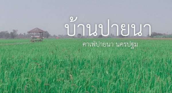 บ้านปายนา คาเฟ่นั่งชิลปายนา นครปฐม